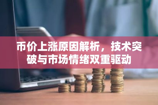 币价上涨原因解析，技术突破与市场情绪双重驱动