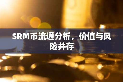 SRM币流通分析，价值与风险并存