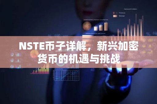 NSTE币子详解，新兴加密货币的机遇与挑战
