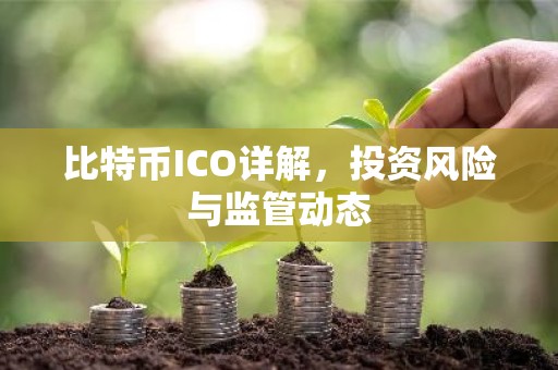 比特币ICO详解，投资风险与监管动态