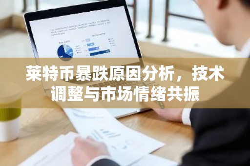 莱特币暴跌原因分析，技术调整与市场情绪共振