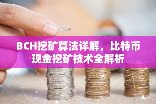 BCH挖矿算法详解，比特币现金挖矿技术全解析