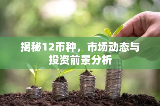 揭秘12币种，市场动态与投资前景分析