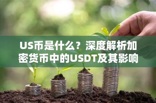 US币是什么？深度解析加密货币中的USDT及其影响