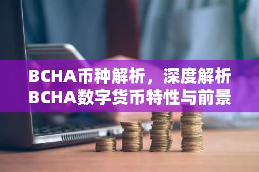 BCHA币种解析，深度解析BCHA数字货币特性与前景