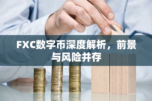 FXC数字币深度解析，前景与风险并存