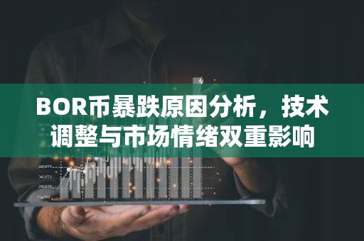 BOR币暴跌原因分析，技术调整与市场情绪双重影响