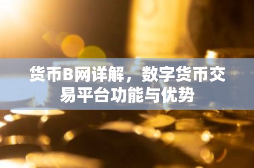 货币B网详解，数字货币交易平台功能与优势