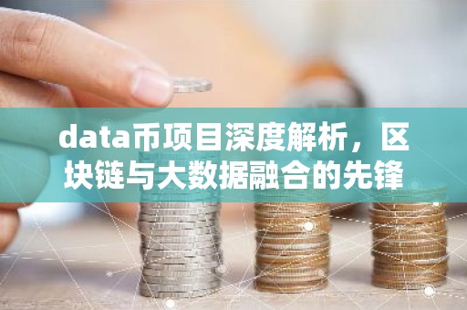 data币项目深度解析，区块链与大数据融合的先锋