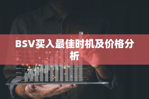 BSV买入最佳时机及价格分析