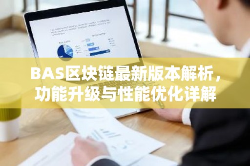 BAS区块链最新版本解析，功能升级与性能优化详解