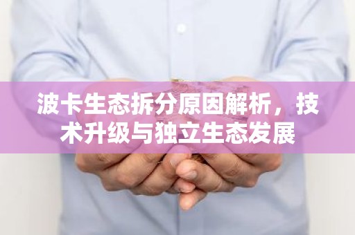 波卡生态拆分原因解析，技术升级与独立生态发展