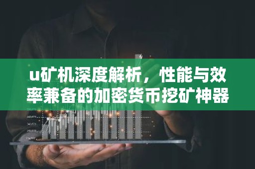 u矿机深度解析，性能与效率兼备的加密货币挖矿神器