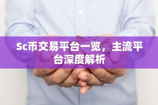 Sc币交易平台一览，主流平台深度解析