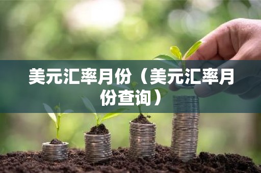 美元汇率月份（美元汇率月份查询）