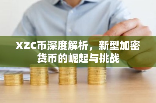XZC币深度解析，新型加密货币的崛起与挑战