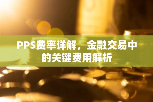 PPS费率详解，金融交易中的关键费用解析