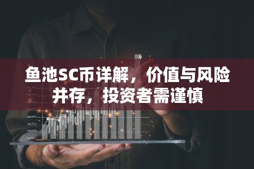 鱼池SC币详解，价值与风险并存，投资者需谨慎