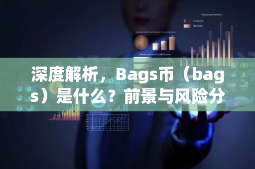 深度解析，Bags币（bags）是什么？前景与风险分析