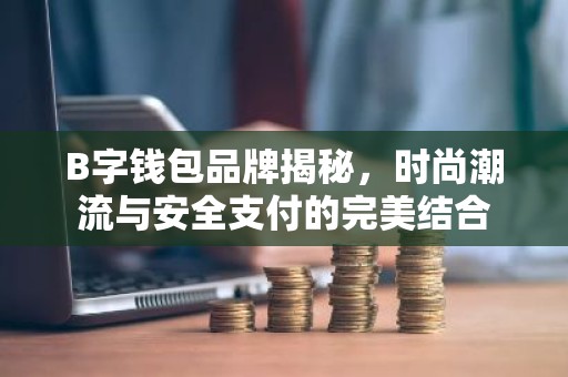 B字钱包品牌揭秘，时尚潮流与安全支付的完美结合