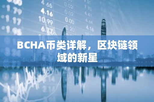 BCHA币类详解，区块链领域的新星