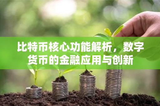比特币核心功能解析，数字货币的金融应用与创新