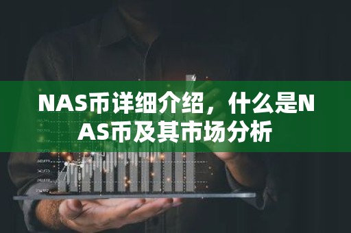 NAS币详细介绍，什么是NAS币及其市场分析