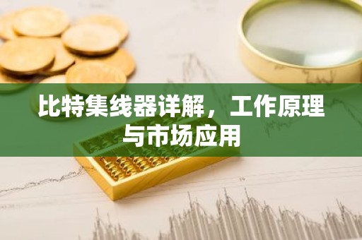 比特集线器详解，工作原理与市场应用