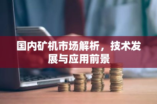 国内矿机市场解析，技术发展与应用前景