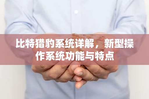 比特猎豹系统详解，新型操作系统功能与特点