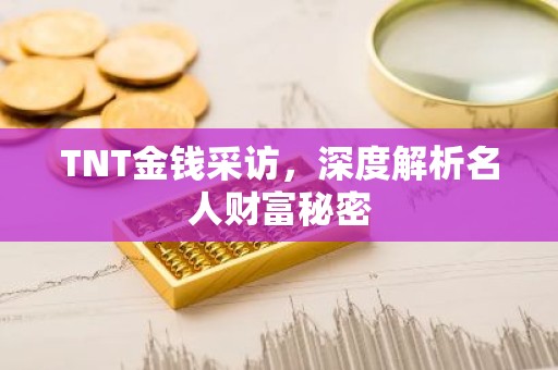 TNT金钱采访，深度解析名人财富秘密