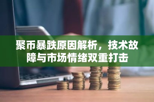 聚币暴跌原因解析，技术故障与市场情绪双重打击