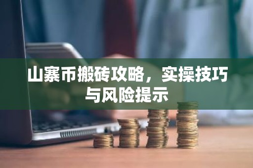 山寨币搬砖攻略，实操技巧与风险提示