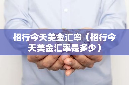 招行今天美金汇率（招行今天美金汇率是多少）