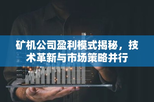 矿机公司盈利模式揭秘，技术革新与市场策略并行