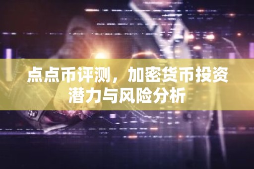 点点币评测，加密货币投资潜力与风险分析