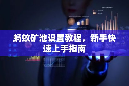 蚂蚁矿池设置教程，新手快速上手指南