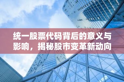 统一股票代码背后的意义与影响，揭秘股市变革新动向