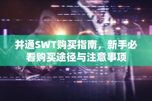 井通SWT购买指南，新手必看购买途径与注意事项