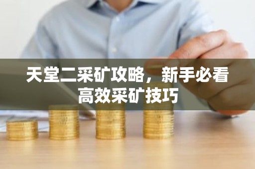 天堂二采矿攻略，新手必看高效采矿技巧