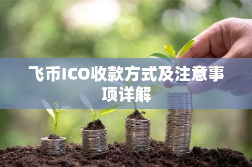 飞币ICO收款方式及注意事项详解