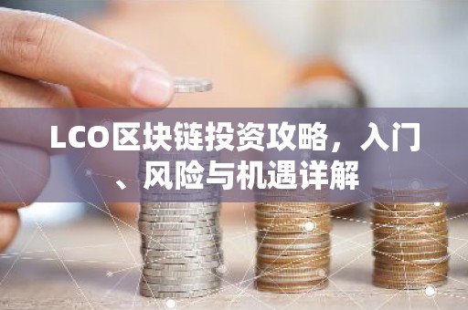 LCO区块链投资攻略，入门、风险与机遇详解