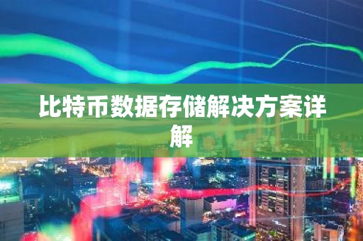 比特币数据存储解决方案详解