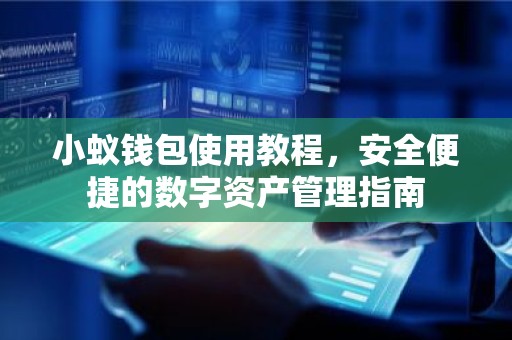 小蚁钱包使用教程，安全便捷的数字资产管理指南