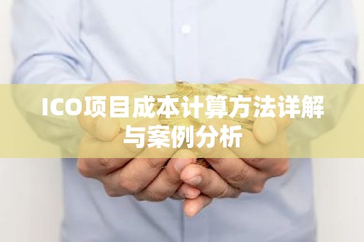 ICO项目成本计算方法详解与案例分析