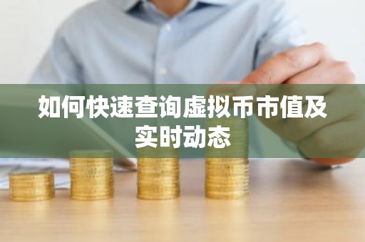 如何快速查询虚拟币市值及实时动态