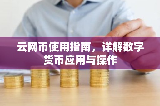 云网币使用指南，详解数字货币应用与操作