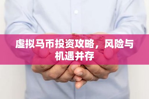 虚拟马币投资攻略，风险与机遇并存