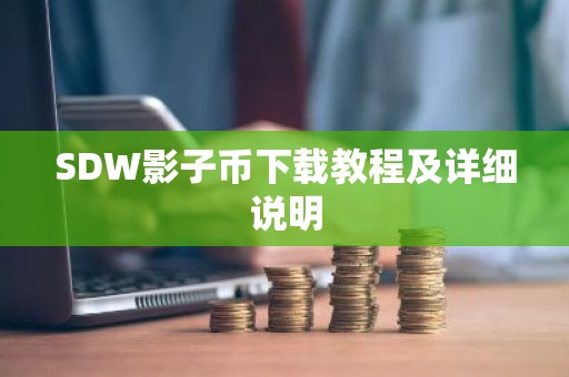 SDW影子币下载教程及详细说明
