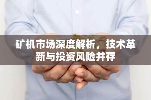 矿机市场深度解析，技术革新与投资风险并存